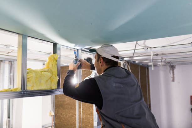 Best Geographic-Specific Insulation Services in Perryopolis, PA